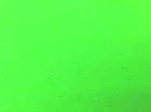 南阳KS-11 荧光绿