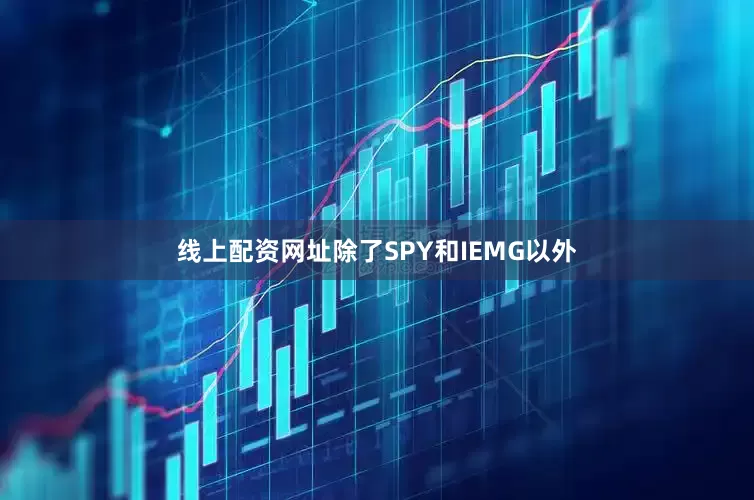 线上配资网址除了SPY和IEMG以外